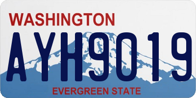 WA license plate AYH9019
