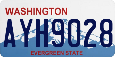 WA license plate AYH9028