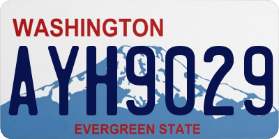 WA license plate AYH9029