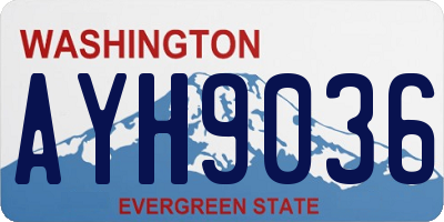 WA license plate AYH9036