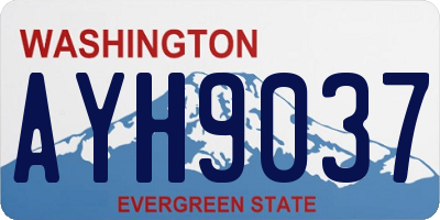 WA license plate AYH9037
