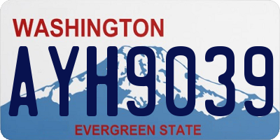 WA license plate AYH9039