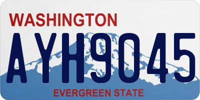 WA license plate AYH9045