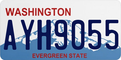 WA license plate AYH9055
