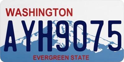 WA license plate AYH9075