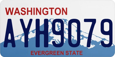 WA license plate AYH9079