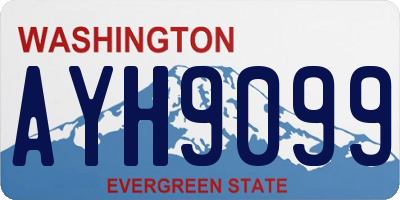 WA license plate AYH9099