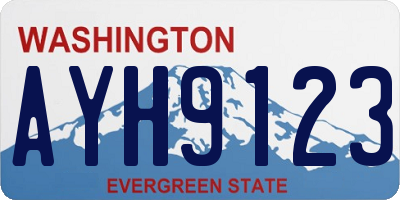 WA license plate AYH9123