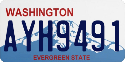 WA license plate AYH9491