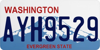 WA license plate AYH9529