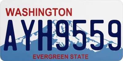 WA license plate AYH9559