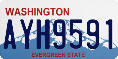 WA license plate AYH9591