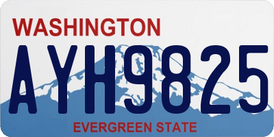 WA license plate AYH9825
