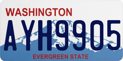 WA license plate AYH9905