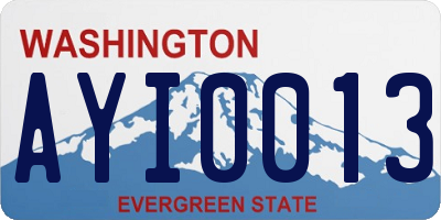 WA license plate AYI0013