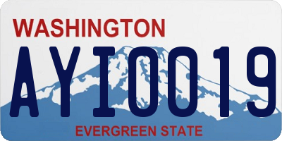 WA license plate AYI0019