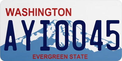 WA license plate AYI0045
