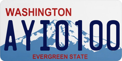 WA license plate AYI0100