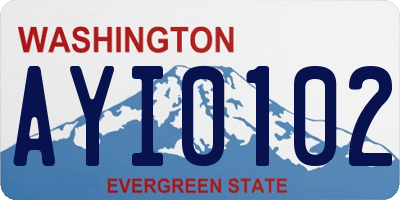 WA license plate AYI0102