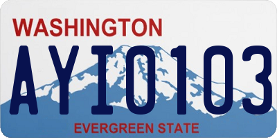 WA license plate AYI0103