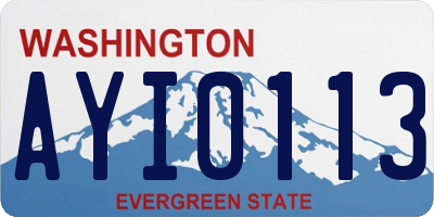 WA license plate AYI0113