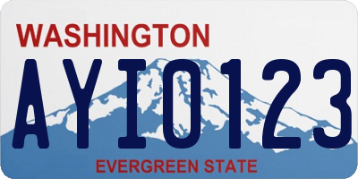 WA license plate AYI0123