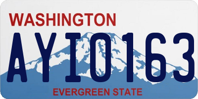 WA license plate AYI0163