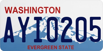 WA license plate AYI0205