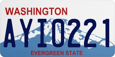 WA license plate AYI0221