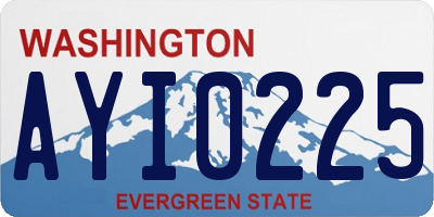 WA license plate AYI0225