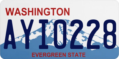 WA license plate AYI0228