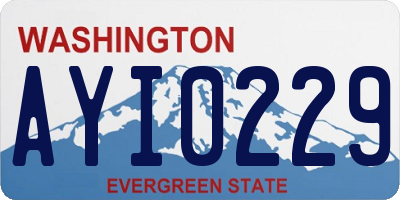 WA license plate AYI0229