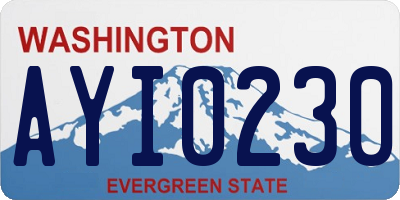 WA license plate AYI0230