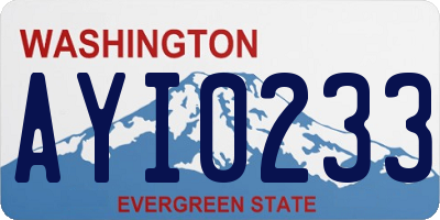 WA license plate AYI0233