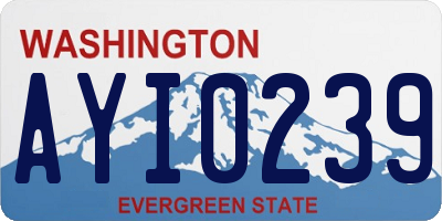 WA license plate AYI0239
