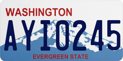 WA license plate AYI0245