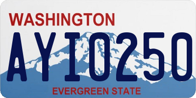 WA license plate AYI0250