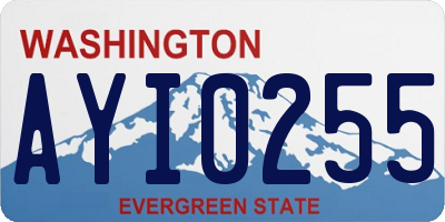 WA license plate AYI0255