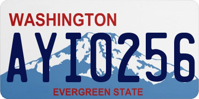 WA license plate AYI0256