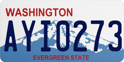 WA license plate AYI0273