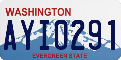 WA license plate AYI0291