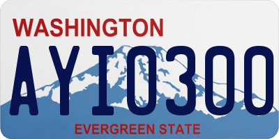 WA license plate AYI0300