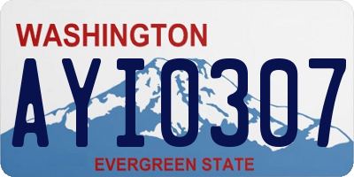 WA license plate AYI0307