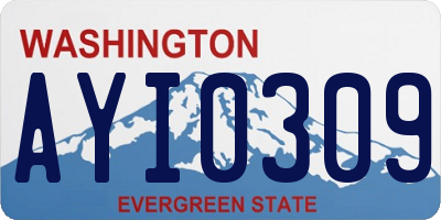 WA license plate AYI0309