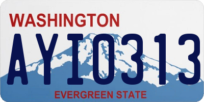 WA license plate AYI0313