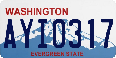 WA license plate AYI0317