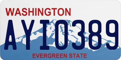 WA license plate AYI0389