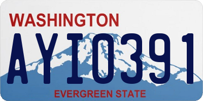 WA license plate AYI0391