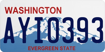 WA license plate AYI0393