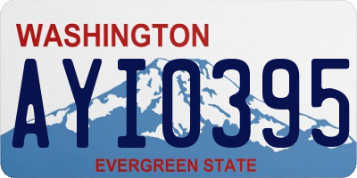 WA license plate AYI0395